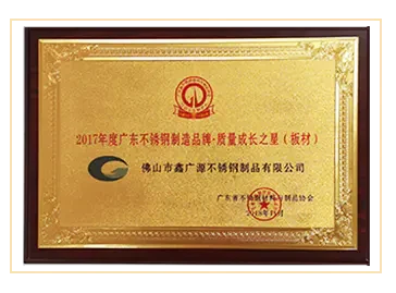 2017 Guangdong Famous Stainless Steel Manufacturing Brand
